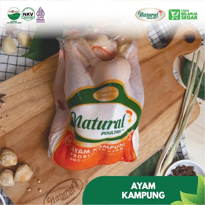 

Pilihan- Ayam Kampung Organik Probiotik Reguler Natural Poultry (700-800Gr)