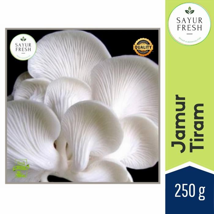 

Pilihan- Jamur Tiram 250 Gram