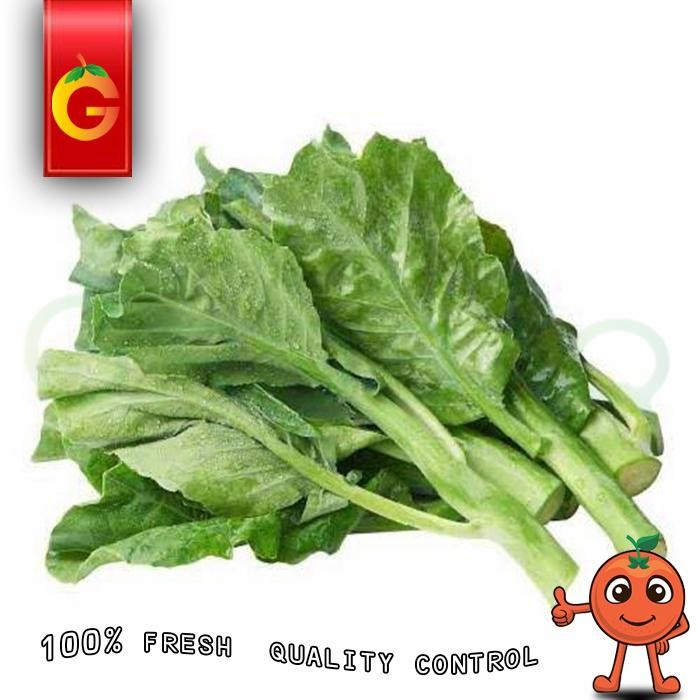 

Pilihan- Sayur Kailan Hongkong / Kailan Import Fresh 250 Gram