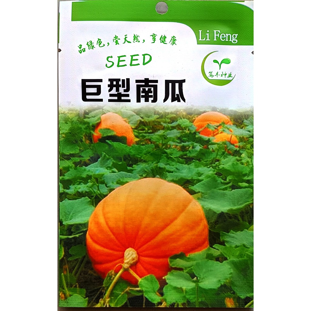 Kemasan Premium (-+10 Butir) Biji Benih Labu Kuning Jumbo Raksasa