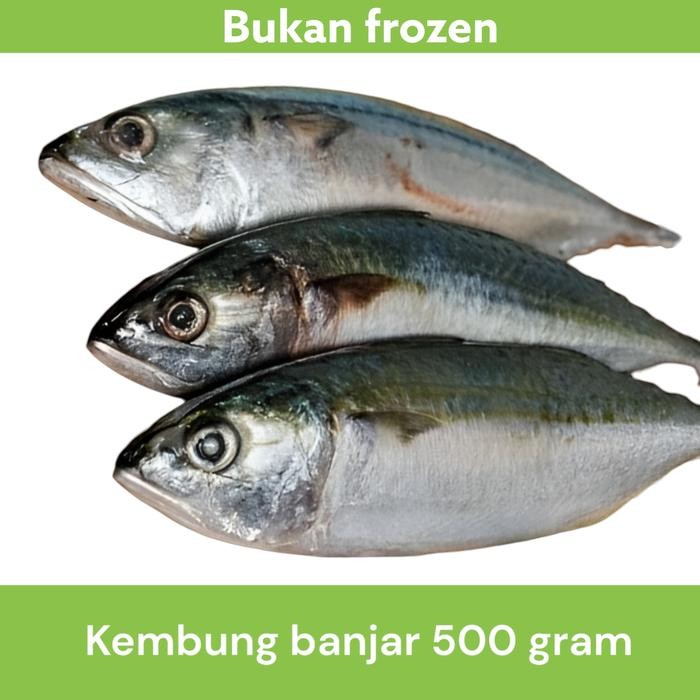

Pilihan- Ikan Kembung Banjar Fresh