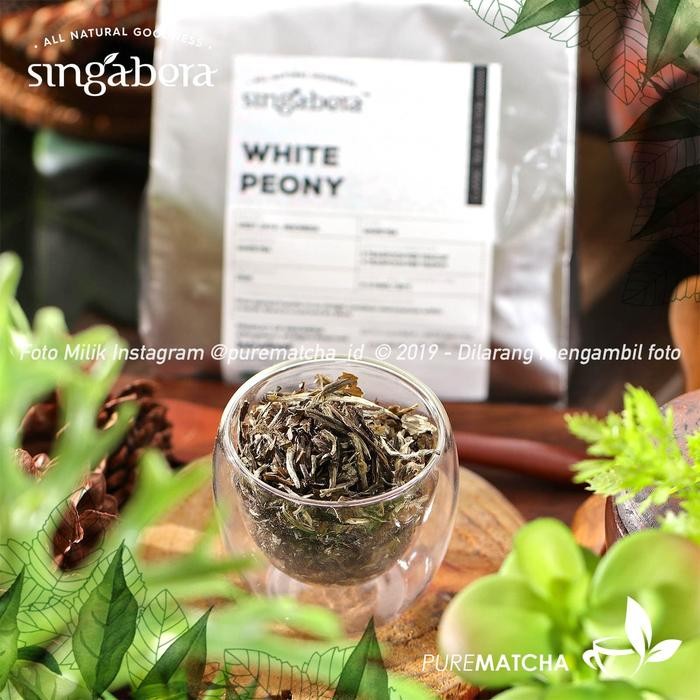 

Pilihan- Singabera - White Peony 10Gr Sample Silver Needle Tea Teh Putih Indo