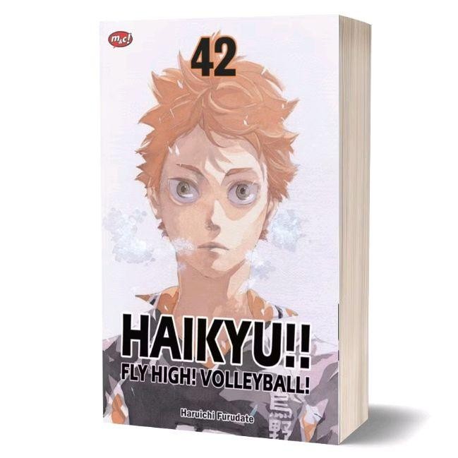

KOMIK SERI: HAIKYU!!: FLY HIGH! VOLLEYBALL!