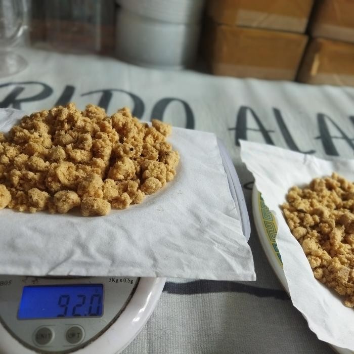 TELUR MAGGOT BSF DAN EBOOK CARA BUDIDAYA MAGGOT BSF TELUR LALAT BSF