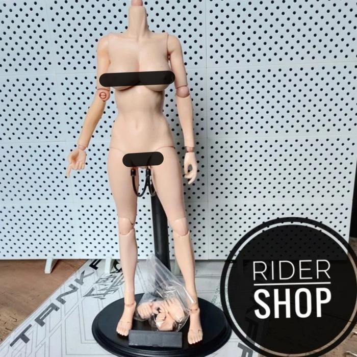 h4d2- Skala 1/6 Wanita Female Body Figure Med Bust Figure Kitbash