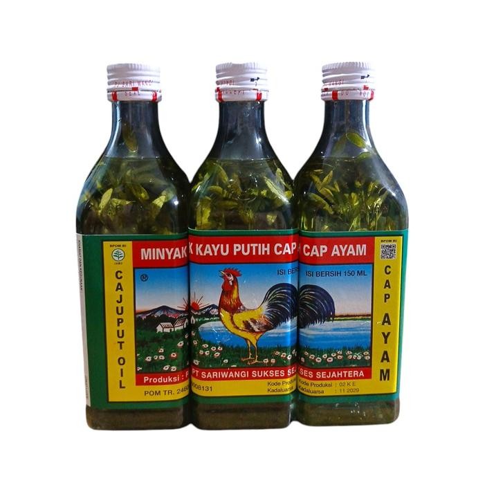 Minyak Kayu Putih Cap Ayam Medan campur daun inggu cao cao Herbal