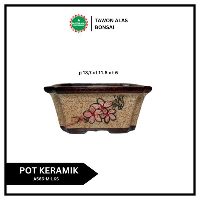 POT BONSAI KERAMIK MAME UNIK
