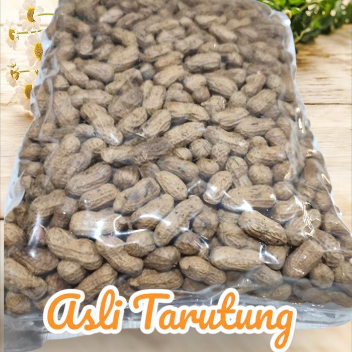 Kacang Sihobuk 1000Gr Garing Renyak Khas Tapanuli Utara Mantap Medan