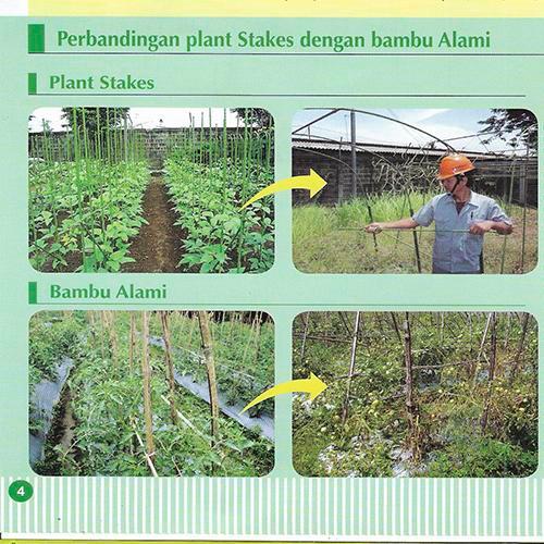 NEW!! AJIR PENYANGGA TANAMAN TAKIRON 11 MM X 210 CM
