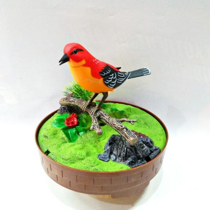 Jayus - Mainan Burung Sangkar / Burung Sensor /Burung Mainan