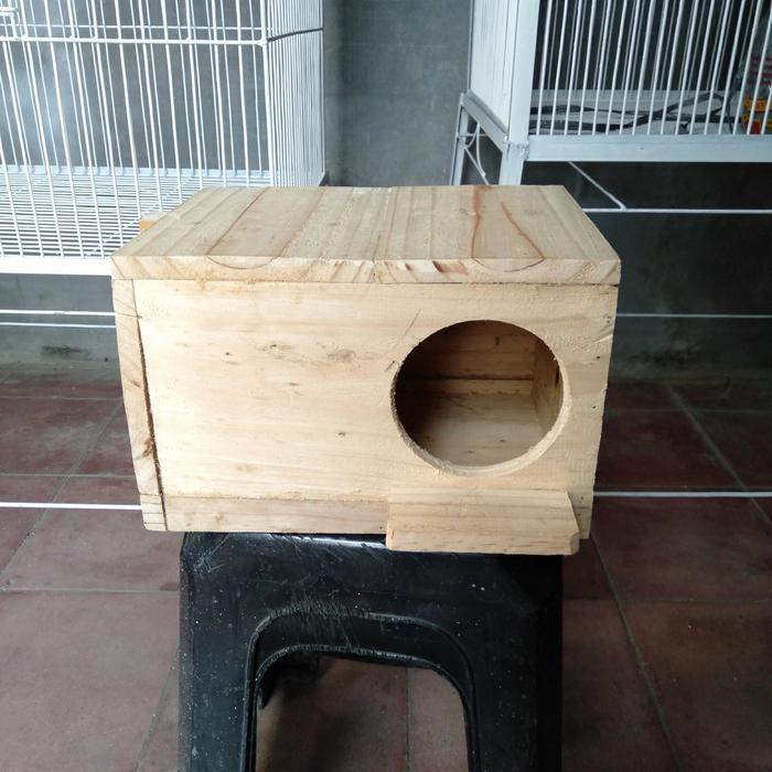 Jayus - Kotak Telur,Burung Parot, Sunconure, Falk, Nuri, Dll