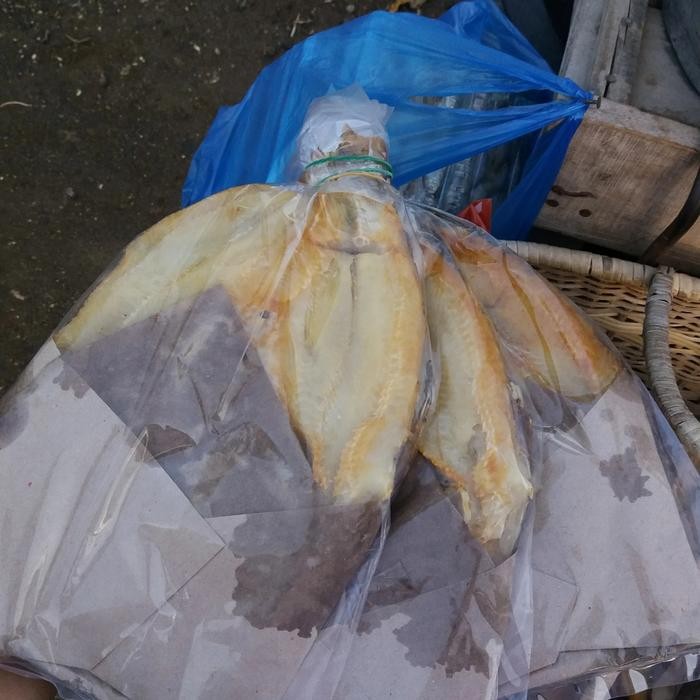 

Jambal Roti(Tanpa Tulang) Asli Pangandaran/Ikat Isi 3