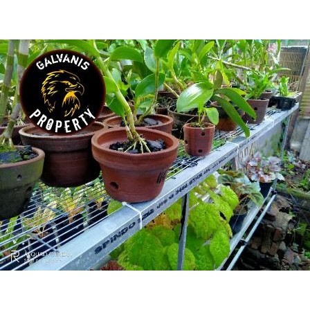 ram pagar galvanis jarak jeruji 1 cm P120 x 50 cm / ram