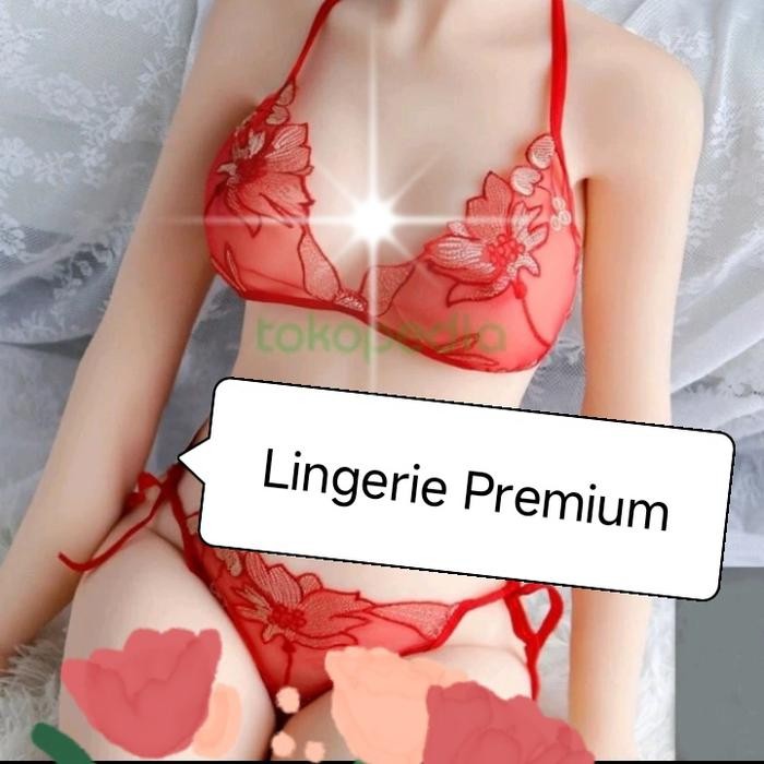 BERKUALITAS bikini transparan set cd bra