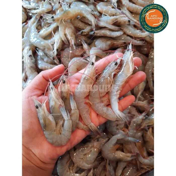 Eat77- Udang Size 200 Peci Kecil Fresh 500Gr Udang Jebung Vanami Kecil Segar