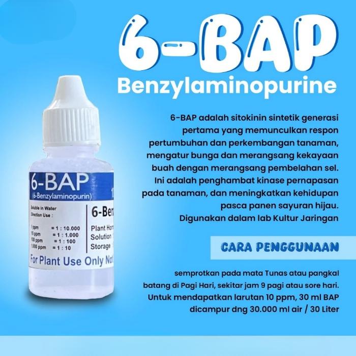 HORMON PENUMBUH TUNAS ANGGREK HORMON 6 BAP BIRU BENZYL AMINO PURIN 30 ML