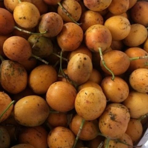 Buah Markisa Konyal/Markisa Manis 1 kg