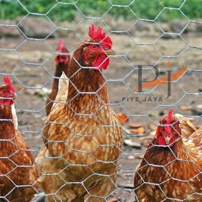 Promo Jaring Pagar Kawat Ram Galvanis Hexagonal Kurungan Untuk Kandang Ayam Kelinci Tanaman Rooster