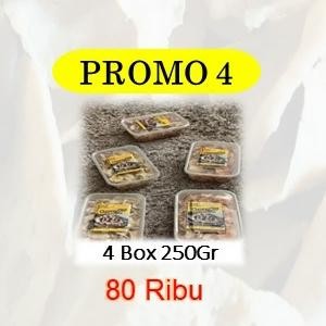 

PROMO 4 BASRENGKU