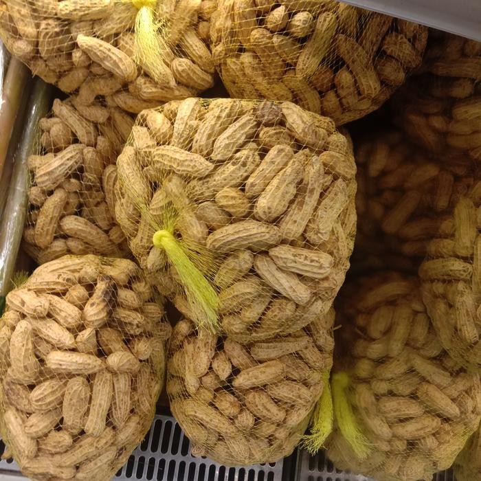 

KACANG TANAH MENTAH SIAP REBUS