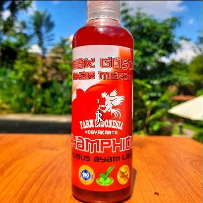 t00e- Arak Gosok Khusus Ayam Akar Merah Rj Farm