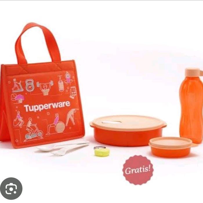 Bekal Makan Fit To Go Tupperware Co