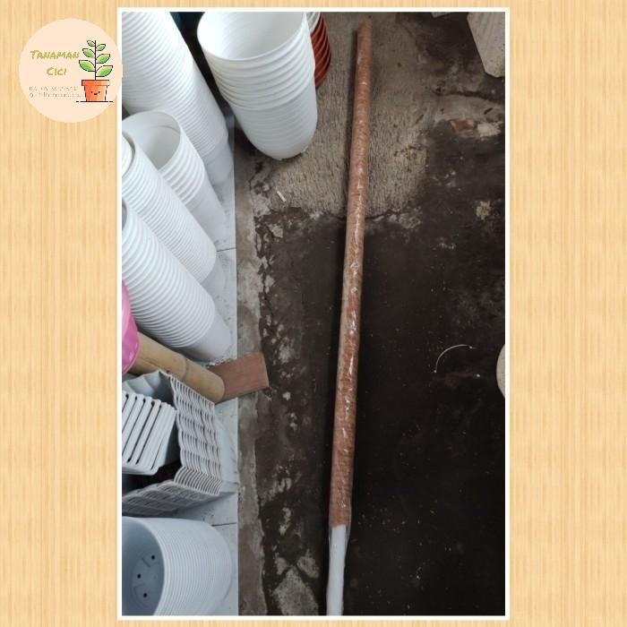 turus tanaman rambatan turus surabaya