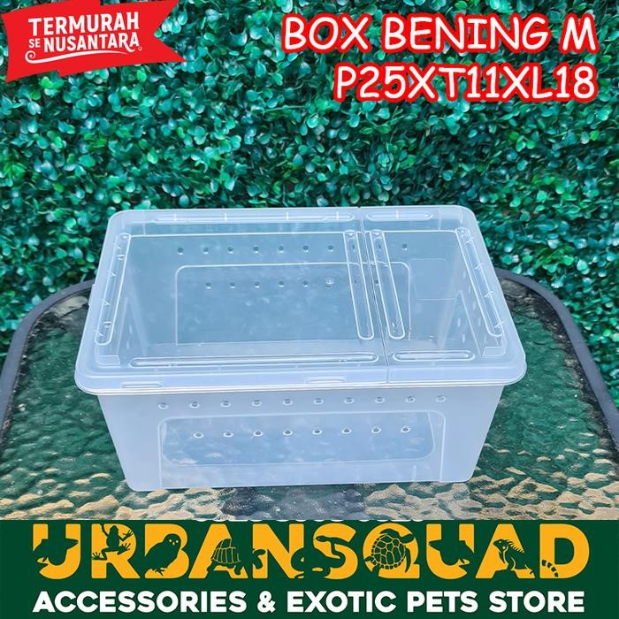 Pilihan- Box Bening M 25X11X18 Kandang Pacman Ular Ball Phyton Retic Kadal