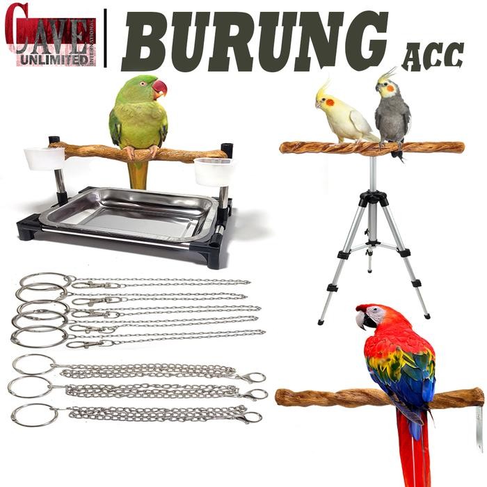 Phoenix Aviary - Tb001B Tangkringan Burung Pangkringan Kenari Burun Hantu Parrot Parkit Bird