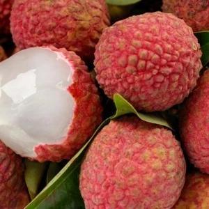 FlavourArt (FA) Lychee Essence