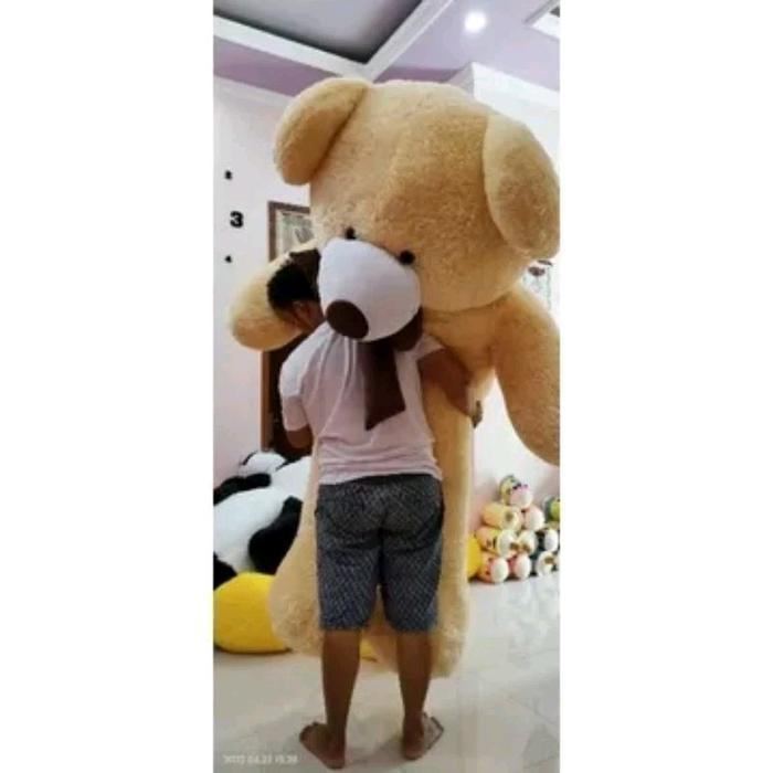 Boneka Raksasa Teddy Bear Super Jumbo Pita Besar 2 Meter Hadiah Kado Dolls Bulu Rasfur Lembut Dan