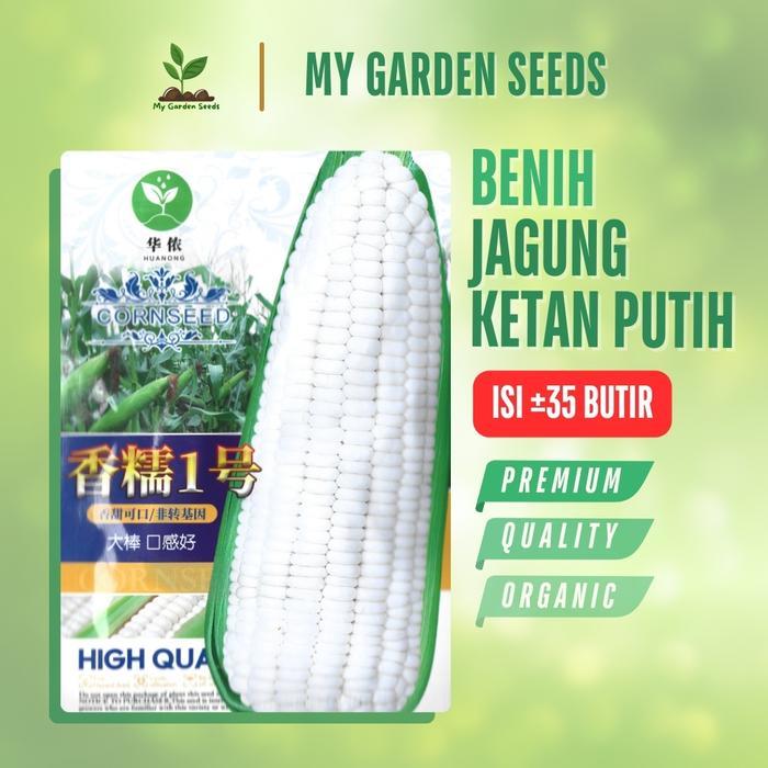 Rupa_Bagus Benih Jagung Ketan Putih Kemasan Import 35 Butir