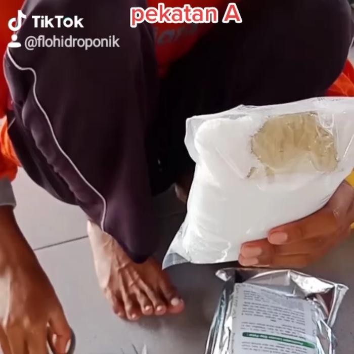 

Promo Ab Mix Flo Hidroponik Selada 10 Liter 1000 Liter Nutrisi 1100 Ppm Berkualitas