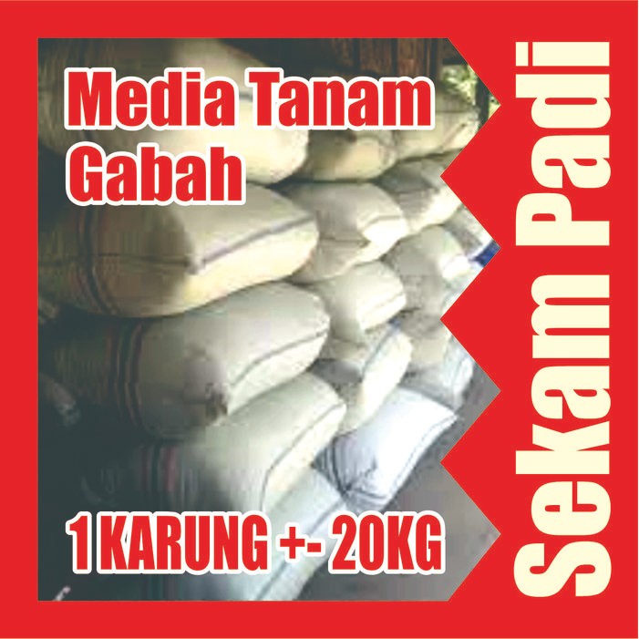 Jlterang Sekam Padi 1 Karung 20 Kg Kulit Padi Gabah Media Tanam Organik