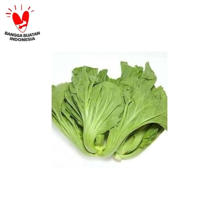 

Pilihan- Sawi Pahit / 1 Kg