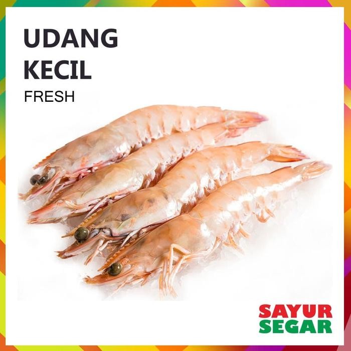 

Pilihan- Udang Uk. Kecil [250G] Fresh Bersih Halal