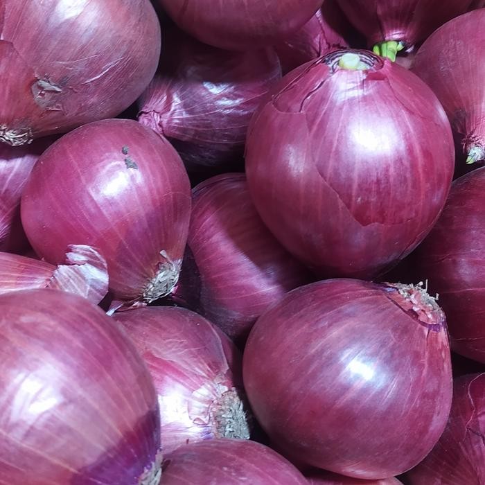 

Pilihan- Bawang Bombay Merah 1Kg