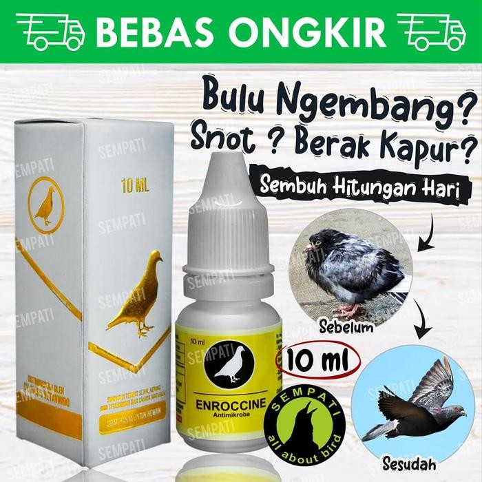 ces0- Enroccine Vitarest Obat Burung Merpati Snot Ngorok Antimikroba Enrocc