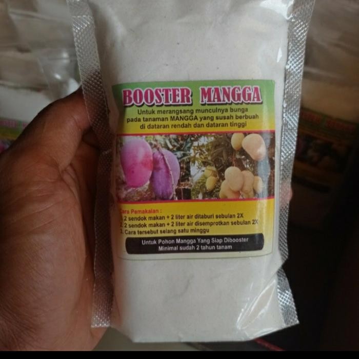 BOSTER MANGGA UNTUK MEMPERCEPAT PEMBUAHAN