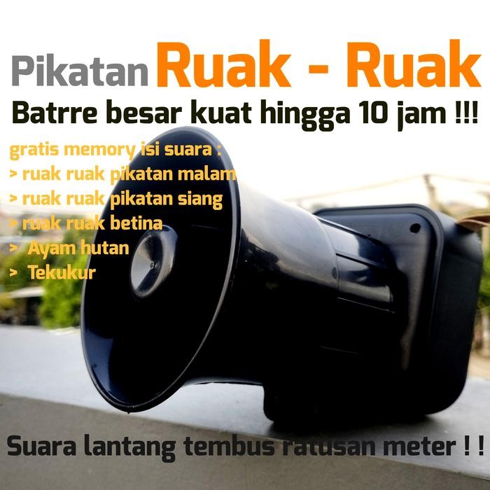 TERMURAH Ser pikatan ruak ruak ayam hutan burung pemburu READY STOCK