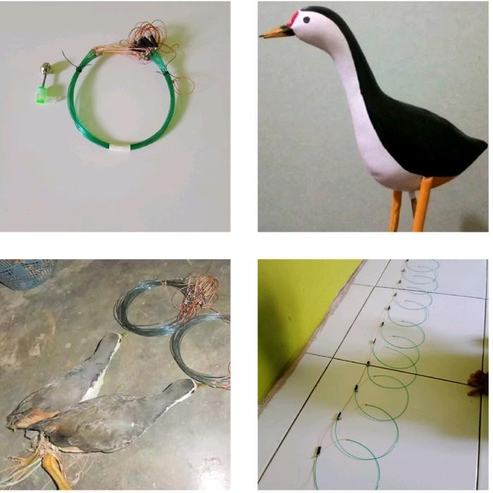 ASLI SATU PAKET HEMAT RACIK GANTUNG BURUNG RUAK RUAK+1 LONCENG+1 JONTROT BURUNG RUAK RUAK-JEBAKAN