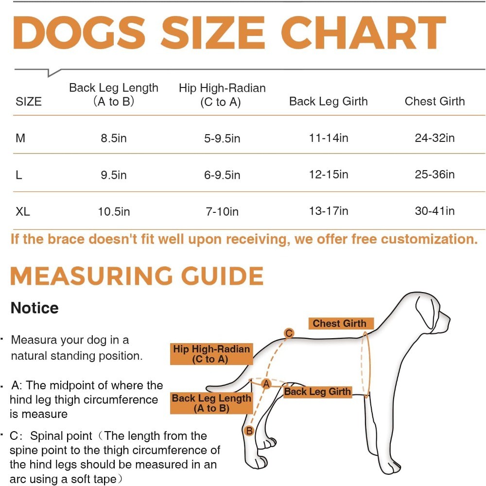 Reduces Pain Hind Leg Dog Leg Brace Auxiliary Belt Dog Leg Protectors Dog ACL Brace Support Dog Knee