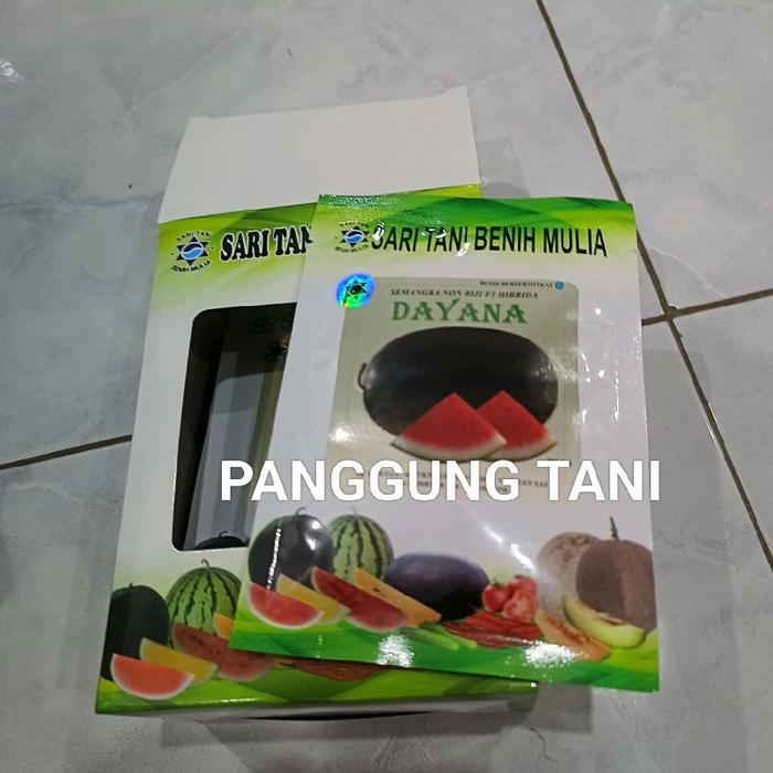Promo Benih Bibit Semangka Non Biji Dayana F1 (Tipe kulit hijau sedang Bentuk Oval lonjong) Isi 300