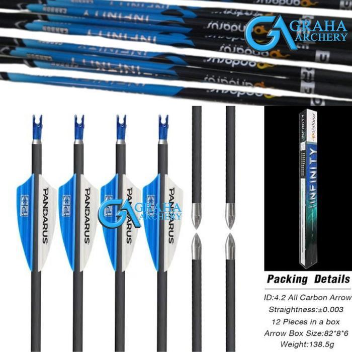 Arrow Pandarus Infinity Arrow Carbon