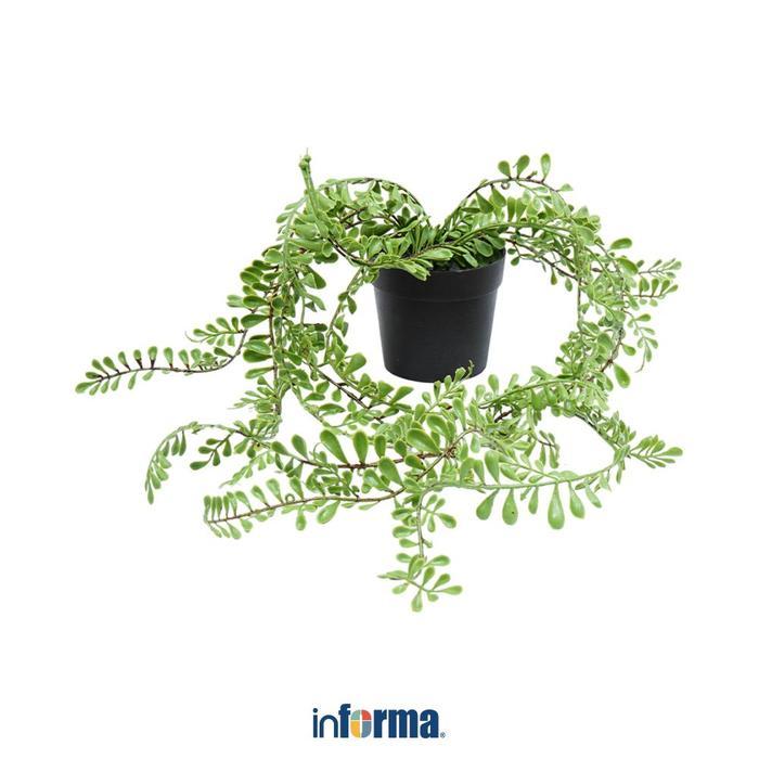 Tanaman Artifisial Set dengan Pot Plastik Dekorasi Rumah Tinggi 50 cm Hiasan Meja Ruangan