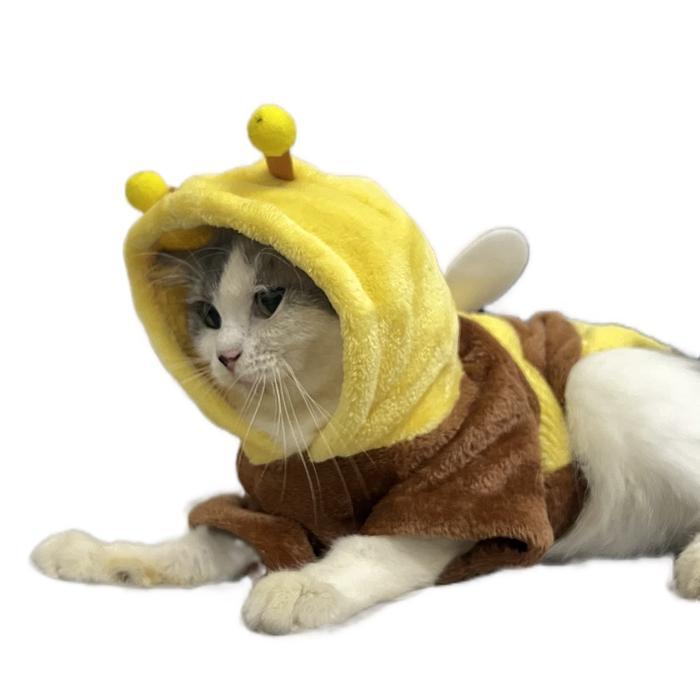 baju kucing // baju anak kucing