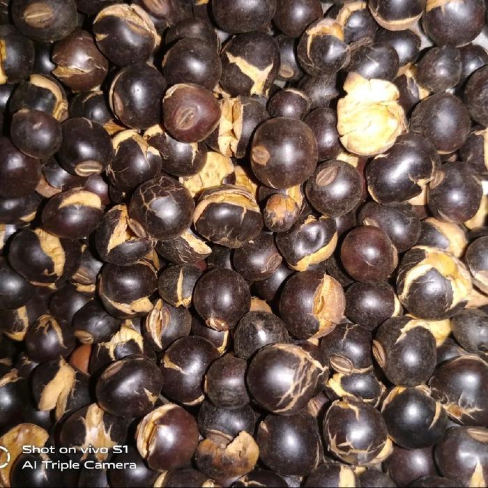 Biji ja'at / biji kecipir sangrai 500gram siap makan Food Makanan