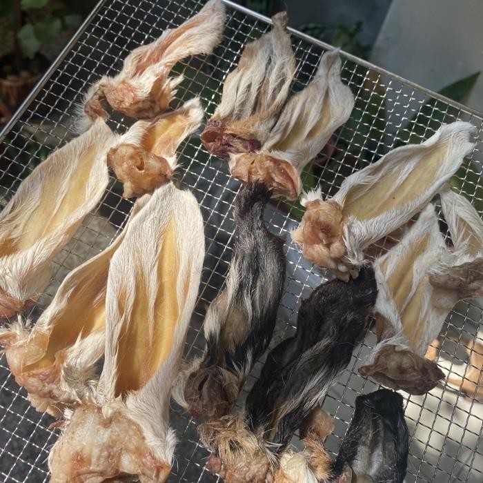 

Pilihan- Dehydrated Lamb Ear Kuping Kambing Kering