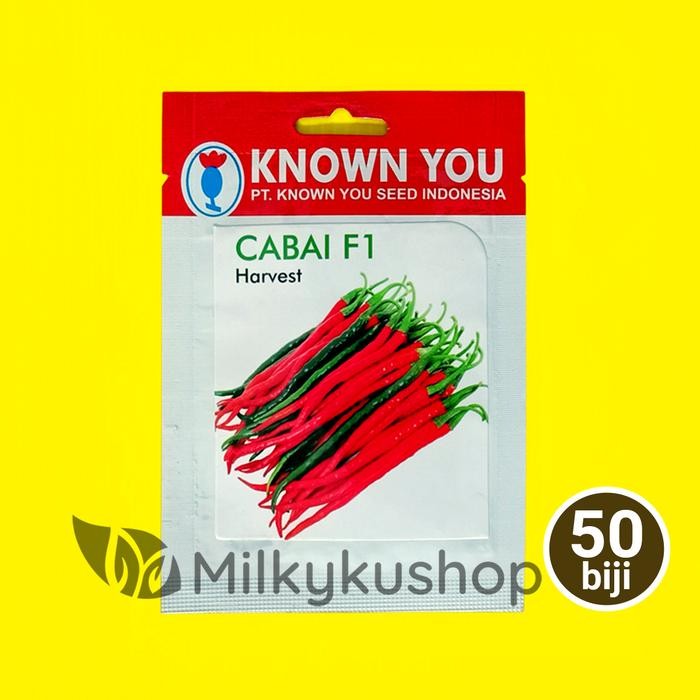 BENIH KYS KNOWN YOU SEED CABE F1 HARVEST 50 BIJI KEMASAN PABRIK