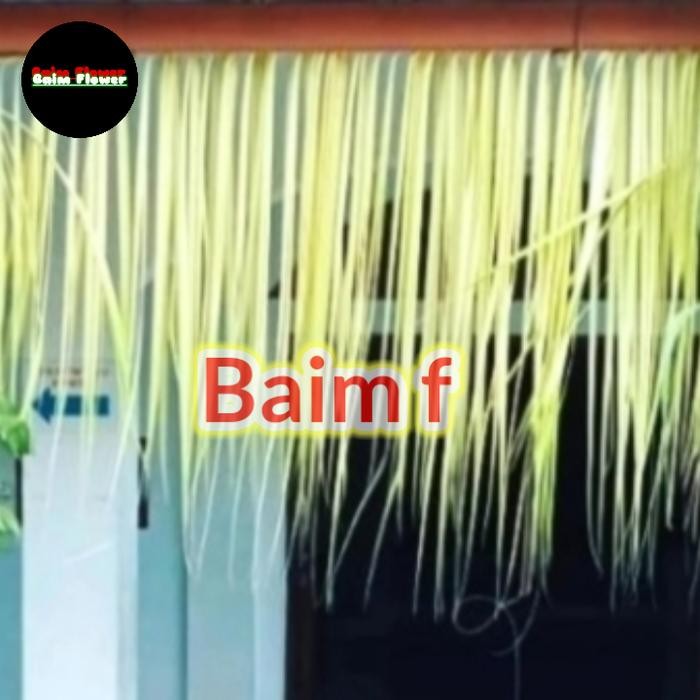 Dekorasi Rumbai daun kelapa asli